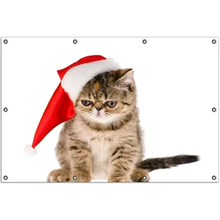 Wallario Outdoor-Poster für Garten oder Balkon, Motiv Ich hasse Weihnachten - mürrische Katze mit Weihnachtsmütze, in ca. 100 x 150 cm - Weiß