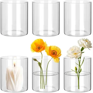 BUCOMTU 6 Stück Glasvase, 10 × 8.5cm Kleine Vasen, Kleine Glasvasen für Tischdeko, Hoch Blumenvasen, Kerzengläser Glaszylinder für Tischdeko, Frische Blumen, Kerzen und Aromatherapie