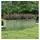 Garten-Hochbeet 320 x 80 x 77 cm Silber