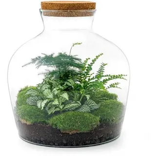 Flaschengarten - DIY - Fat Joe Grün - ? 30 cm