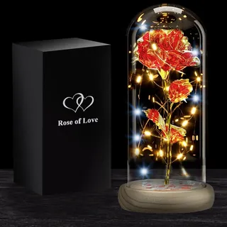 Ewige Rose mit Led | Romantisches Geschenk für die Frau | Künstliche Blume Die Schöne und das Biest | Mit LEDs, Glasglocke, Geschenkbox | Valentinstag, Muttertag, Hochzeit | OriginalCorner®