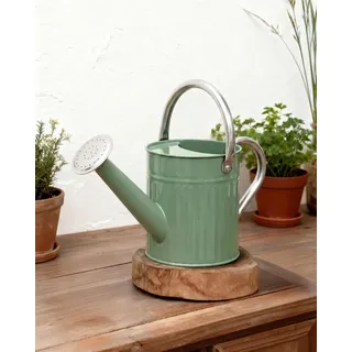 Bamworld Gießkanne Zimmerpflanzen 1,9L (1/2 Gallone) aus Verzinktem Stahl, Kleine Gießkanne mit Langer Tülle für Haus & Garten, Vintage Design Blumengießer -Hellgrün