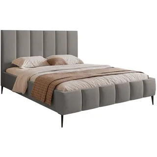 Selsey Polsterbett Sarafino Hellgrau Samt 160x200 cm , Textil , 160x200 cm , Schlafzimmer, Betten, Polsterbetten