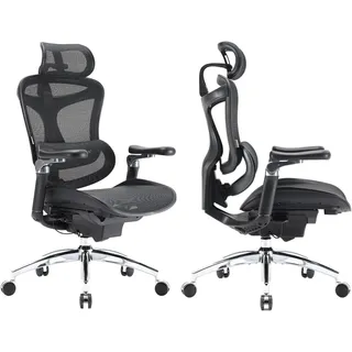 SIHOO Doro C300 Pro Ergonomischer Bürostuhl mit ultraweichen 6D-Armlehnen, dynamischer Lordosenstütze und Sitztiefenverstellung für das Home Office (Schwarz)