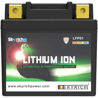Skyrich LFP01 0 Ah 0 A