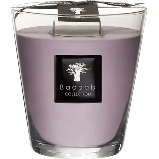 Baobab Collection All-SeasonsWhite RhinoDuftkerze Max 16 1000 g