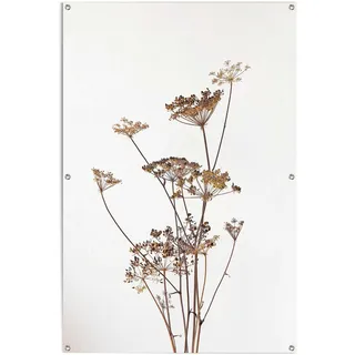Reinders! Reinders "Bärenklau", leichtes und wasserfestes Gartenposter für den Außeneinsatz, farbe bild(er): beige
