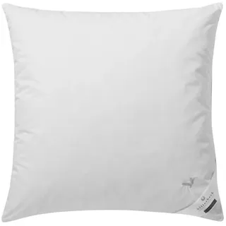 billerbeck Kopfkissen E04 Gold Edition 15 80 x 80 cm Gold