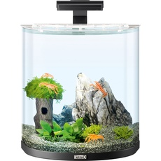 Tetra Explorer Line 30 L Aquarium Komplett-Set - Design Aquarium mit gebogener Frontscheibe, LED-Beleuchtung, Technik, Futter und Pflegemitteln, Farbe: Schwarz