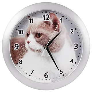 Eurotime Quarzwanduhr, 29 cm, Kunststoffgehäuse Silber, Echtglas, Motiv Katze, geräuscharmes Uhrwerk, kein Ticken, Wanduhr für Wohnbereich oder Büro, Schwarze Zeiger, rote Sekunde, 82301