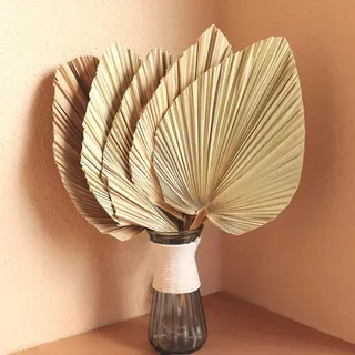 Getrocknete Palmblätter 5Pcs 18" große natürliche getrimmte Palme Speer Tropische Palmblätter Fans Boho Hochzeit Dekor Hawaiian Luau Party Urlaub Küche Tisch getrocknete Blumen Pampasgras Dekoration