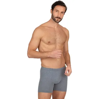 Trigema Boxer »TRIGEMA Herren Pant in bequemer Stretch-Qualität«, (1 St.) Trigema steingrau-melange XL