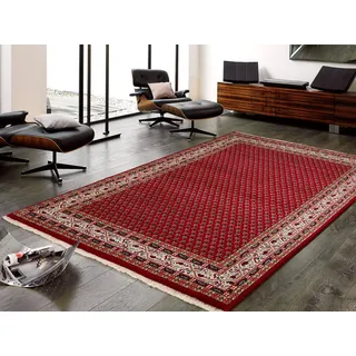 Mein Teppichmarkt Teppichträume werden wahr! BADOHI Mir handgeknüpfter Orientteppich Naturfaser Kurzflor hochwertige Qualität in Rot Beige Blau Größe: 250x300 cm Diele, Esszimmer, Flur, Kinderzim