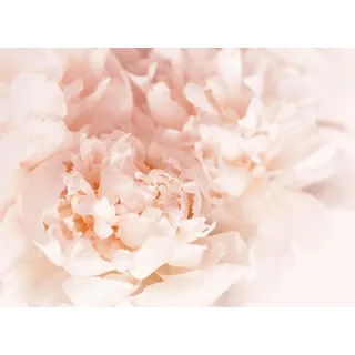 Heizkörperverkleidung Heizkörperabdeckung Magnetmatte Dekoration 60x100