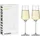 Champagnerglas 2 2 St