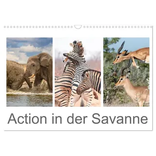 Calvendo Action in der Savanne (Wandkalender 2026 DIN A3 quer), CALVENDO Monatskalender: Afrikas Tiere in voller Aktion (CALVENDO Tiere)