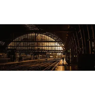 Aluminiumbild , Braun, Schwarz, Goldfarben , Metall, Kunststoff , 98x48 cm , einfache und schnelle Anbringung , Bilder & Rahmen, Bilder, Aluminium-Bilder