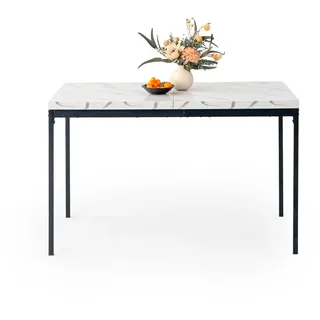 FurnitureR Esstisch 120 x 75 cm Weißer Marmor