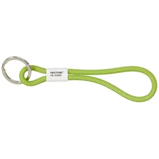 Copenhagen Design Pantone Design-Schlüsselband Key Chain short | Schlüsselanhänger robust und farbenfroh | kurz |green 15-0343| grün, 18