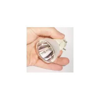 Nackte Osram Lampe VIVITEK D795WT NLMP19806