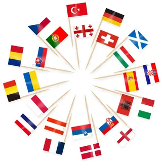 AhfuLife 100 Stück Europa Zahnstocher Flagge, 24 Euro Länder Cocktail Weltflaggen Europa Fahnen Zahnstocher für Eurovision 2026 Sandwich Cupcake Toppers Euro Fußball WM Olympia Party Pub Deko