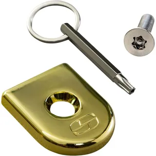 Saddlemen Sicherheitssitzschraube - Gold - One Size