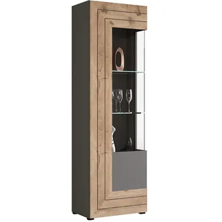 xonox.home Vitrine Freno 60 x 194 x 37 cm Grau