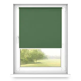 Time4blinds - Rollo ohne Kassette, 50x180 cm, Grüne Flasche, Steuerung Rechts