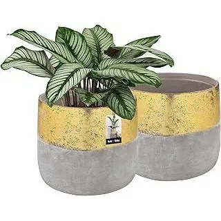 KOTARBAU Blumentöpfe aus Keramik, groß, goldfarben, unglasiert, 11,5 cm hoch, 12 cm, Vintage-Keramik-Blumentöpfe, 2 Stück