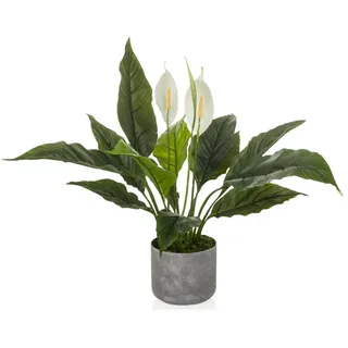 HJH Office Kunstpflanze Spathiphyllum 1 – Immergrüne Kunstpflanze ca. 60 cm | Täuschend echt, pflegeleicht, geruchslos und dekorativ