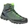 Alp 2 Mid GTX (61382)