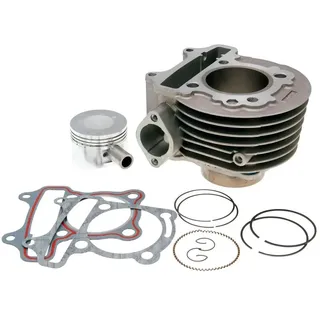 101 Octane Gy27395 Zylinderkit - Natural - One Size