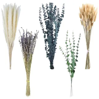 100 Bündel Trockenblumenstrauß,Natürliche Getrocknete Blumen Getrocknete Pampasgras-Dekoration Boho-Tischdeko Schilfgrasstrauß Bunny-Tails-Trockenblumen für Hochzeit Boho Blumendeko zu Hause