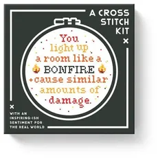 You Light Up A Room Cross Stitch Kit