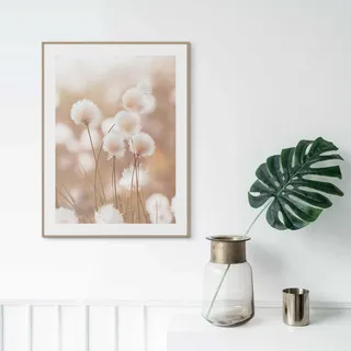 Reinders! Bild mit Rahmen Reinders! Gerahmtes ARTIFIC, Braun - Weiß - 30 x 40 cm - Cotton Pops", beige (farbe bild(er): beige), B:30cm H:40cm T:1,6cm, Holzwerkstoff, Bilder