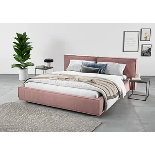 Home affaire Polsterbett »Adrina mit Biesenoptik, Feincord und Luxus-Microfaser« bis 280kg, auch in Überlänge 220 cm, 4 Breiten bis 200cm, rosa