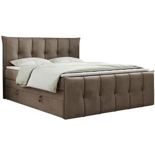 MKS King Boxspringbett 120 x 200 cm H4 Braun