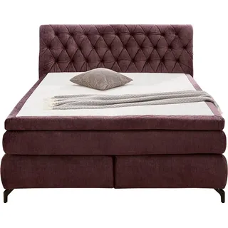 Jockenhöfer Scarlett 192 x 230 cm H3 Aubergine