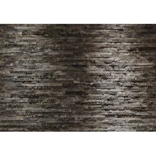 KOMAR Fototapete "Birkenrinde 368 x 254 cm bedruckt glatt Wohnzimmer, Schlafzimmer,