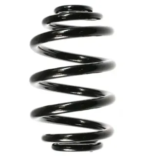 SPIDAN Fahrwerksfeder 55121 Hinterachse für BMW