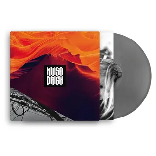 Endurance (silver Vinyl)