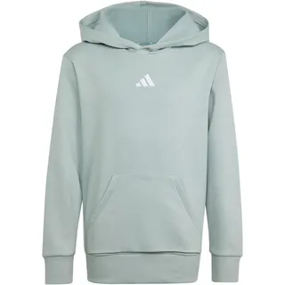 adidas Hoodie Wonder Sage/Weiß 152