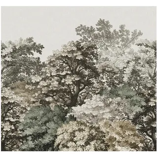 Fototapete , Taupe , Kunststoff, Papier , Bäume , 300x280 cm , Fsc, Bsci, Made in Eu , Tapeten & Wandverkleidungen, Fototapeten