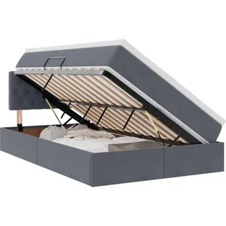 vidaXL Aufbewahrungsbett mit Matratze Dunkelgrau 120 x 190 cm Samt - Grau