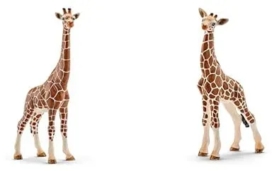 Bild von Wild Life Giraffenkuh 14750