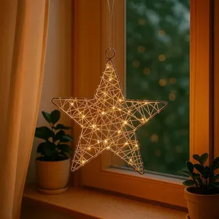Ideen mit Herz -Stern aus Draht | umwickelt mit LED -Lichterkette | batteriebetrieben | Timer-Funktion: 6 Stunden AN | 18 Stunden AUS | warmweiß | ideal als Weihnachts-Deko (Ø18cm)