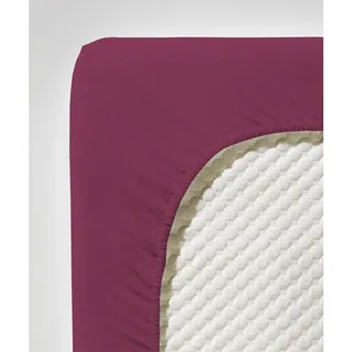 Jenny C 001115 Single-Jersey 90 x 220 - 100 x 220 cm himbeere