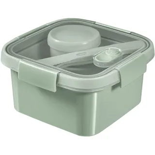 Curver 249947 Storage Box, Plastic