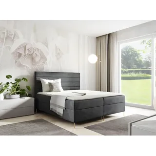 GUTTO Boxspringbett DAKOTA 120 x 200cm 2x Bettkasten TOPPER 5cm Gratis Grau Velour hohe goldene Beine - Grau
