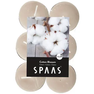 Spaas 10 x 12 Duft-Teelichter in Flatpacks, Paraffinwachs, Aluminiumbecher Beige, D 39 x H 16 mm